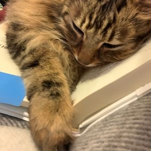 Meet your Posher, Katie